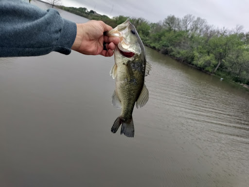 Image of Jaycee Park