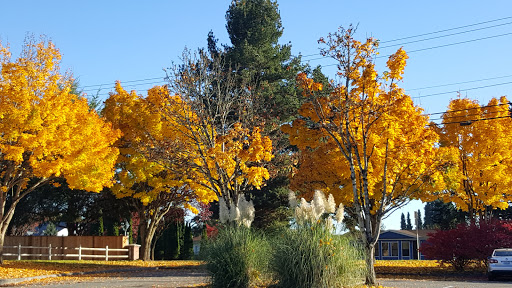 Image of Jennings Nature Park