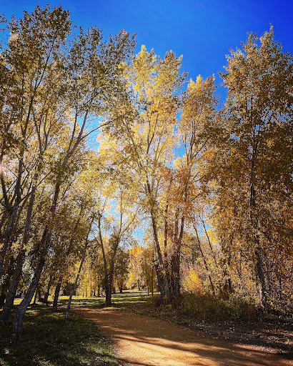 Image of JFK Park, Helena