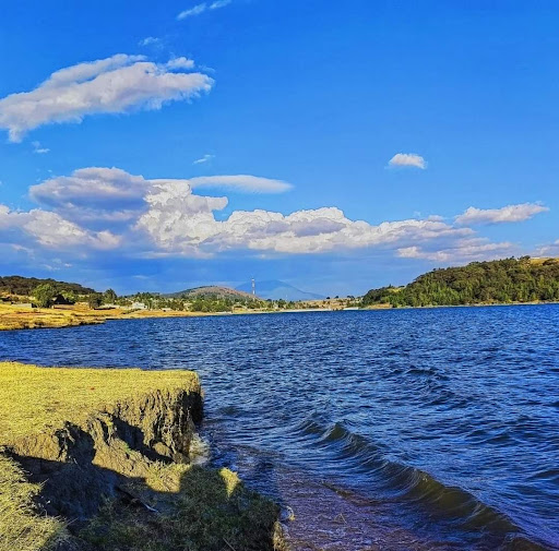 Image of Joe Orr Woods (Cook County Forest Preserve)