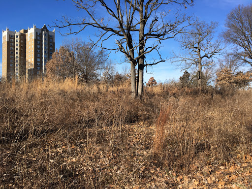 Image of John F. Kennedy Memorial Forest