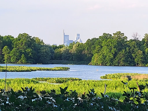 Image of John Heinz National Wildlife Refuge at Tinicum
