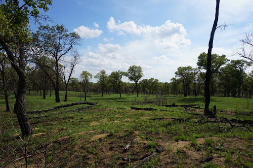 Image of Kankakee Sands Illinois - Pembroke Savanna