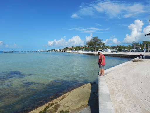 Image of Key West Garden Club at West Martello Tower