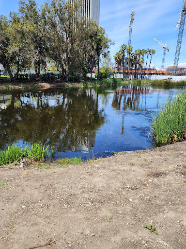 Image of La Brea Tar Pits and Museum