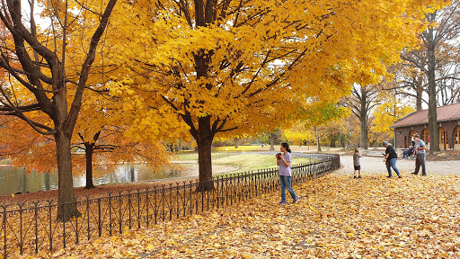 Image of Lafayette Square