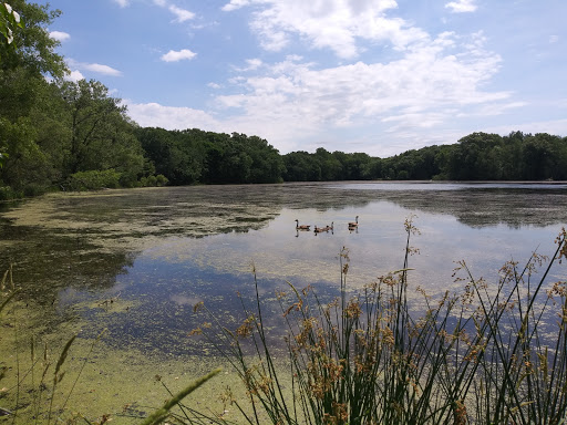 Image of Lake Judy Park