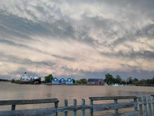 Image of Lake Superior Estuarium