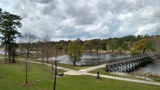 Image of Langan Park