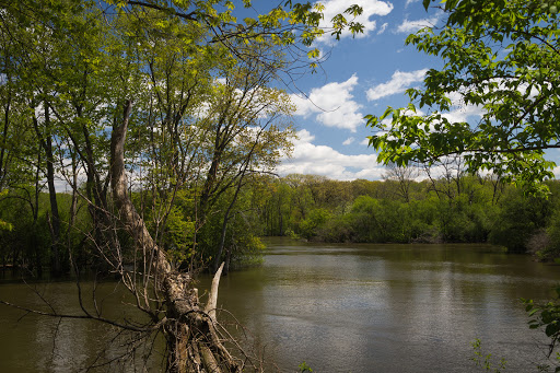 Image of Les Arends Forest Preserve