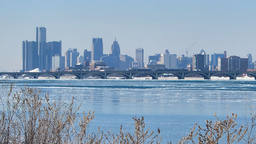 Image of Let's See Detroit Tours