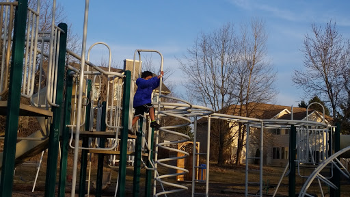 Image of Lily Pond Park