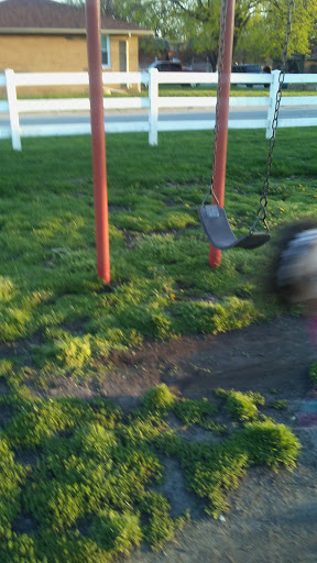 Image of Lion's Park