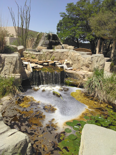 Image of Living Desert Zoo & Gardens State Park