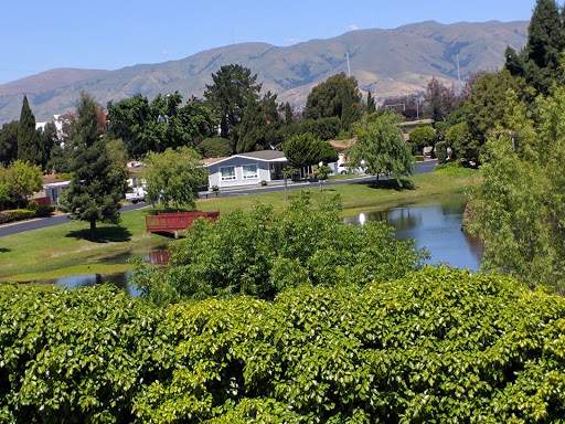 Image of Lower Guadalupe River Trail