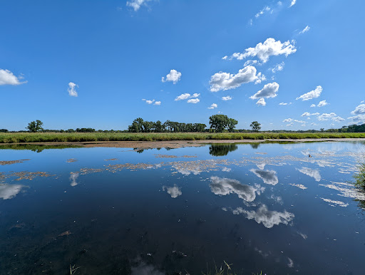 Image of Lyons Prairie and Marsh Conservation Area