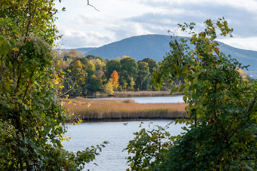 Image of Madam Brett Park
