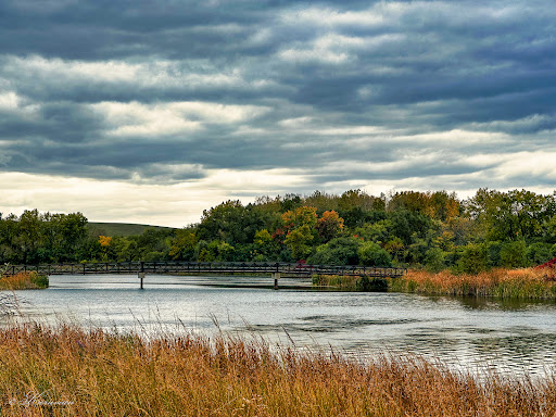 Image of Mallard Lake Forest Preserve