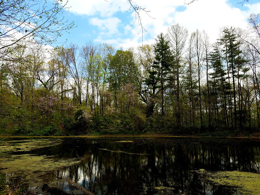 Image of Marberry Arboretum