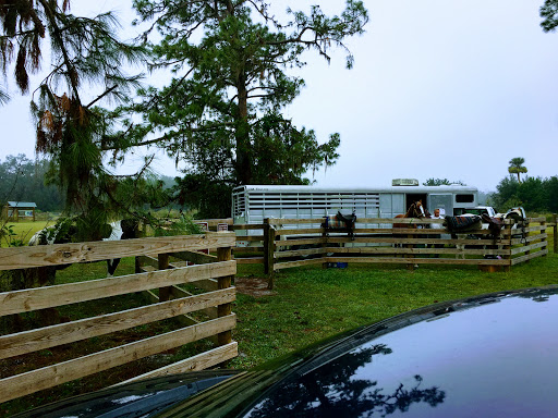 Image of Marshall Hampton Reserve