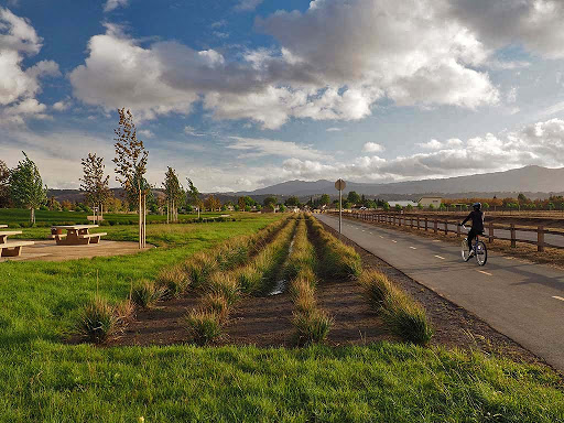 Image of Martial Cottle Park