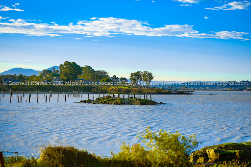 Image of Matthew Turner Park