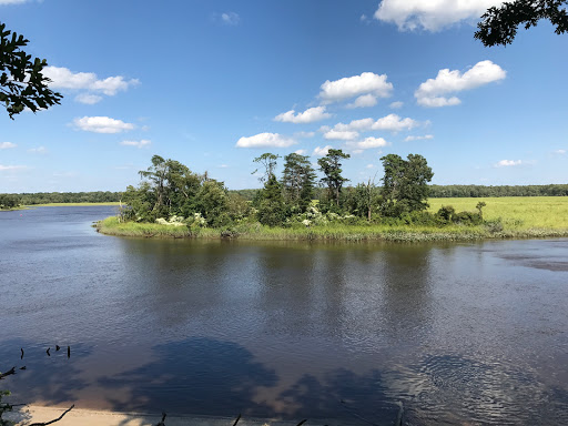 Image of Maurice River Bluffs Preserve
