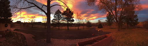 Image of McAwesome Ranch