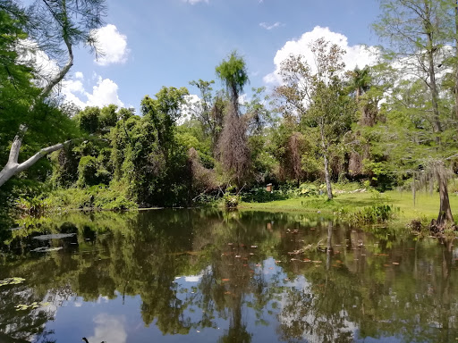 Image of Mead Botanical Garden