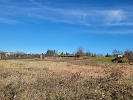 Image of Medina Marsh