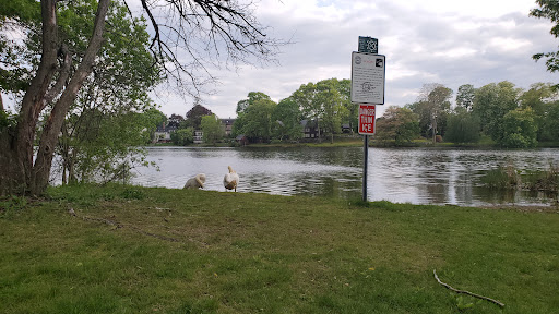 Image of Melrose Dog Park