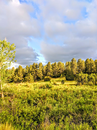 Image of Memmen Ridge Open Space