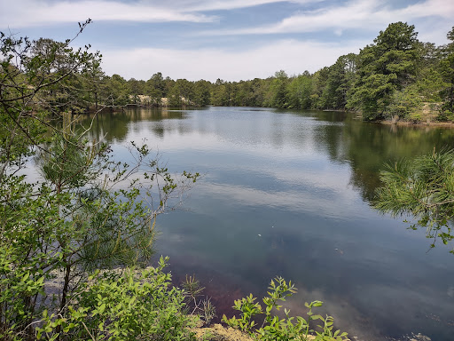 Image of Menantico Ponds Fish and Wildlife Management Area