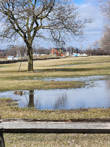 Image of Miller Meadow