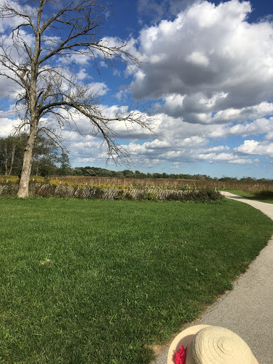 Image of Miller Meadow