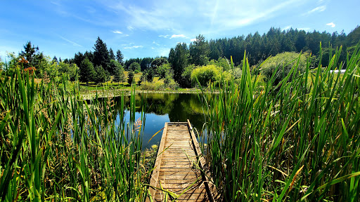 Image of Miller Woods Conservation Area