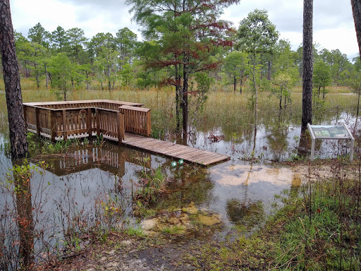 Image of Mississippi Sandhill Crane National Wildlife Refuge Admin Bldg & Visitor Contact Station
