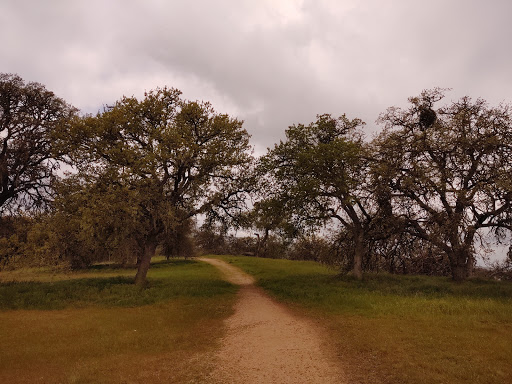 Image of Montebello Oaks Open Space Trail.