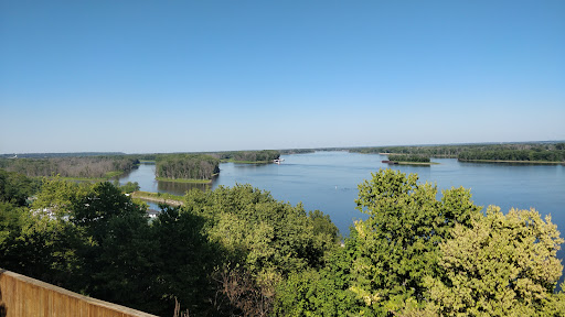 Image of Mosquito Park