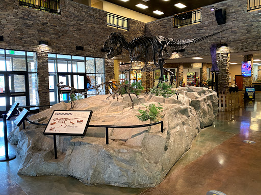 Image of Mountain America Museum of Ancient Life at Thanksgiving Point