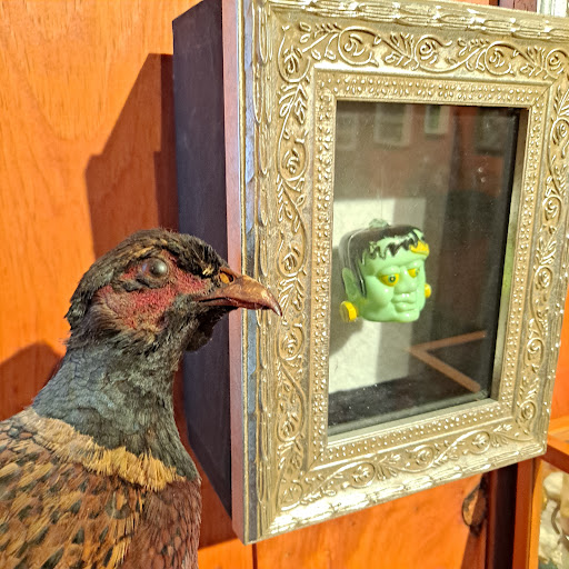 Image of Museum of Natural & Artificial Ephemerata