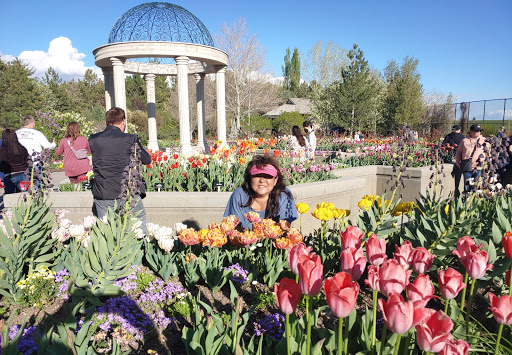 Image of Museum of Natural Curiosity at Thanksgiving Point