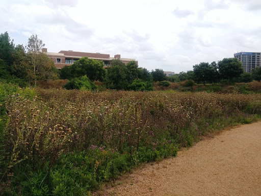 Image of Native Texas Park
