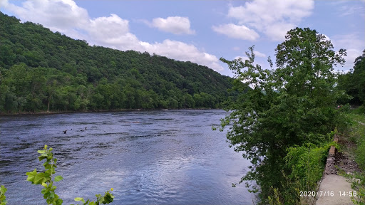 Image of Natural Lands' Mariton Wildlife Sanctuary