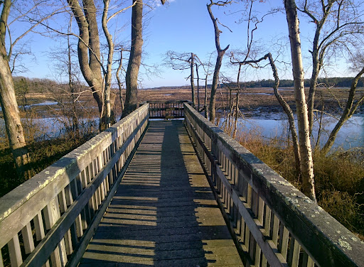 Image of Natural Lands' Peek Preserve