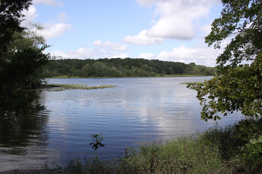 Image of Natural Lands' Peek Preserve