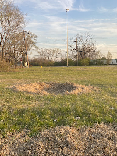 Image of Navel of Mother Earth