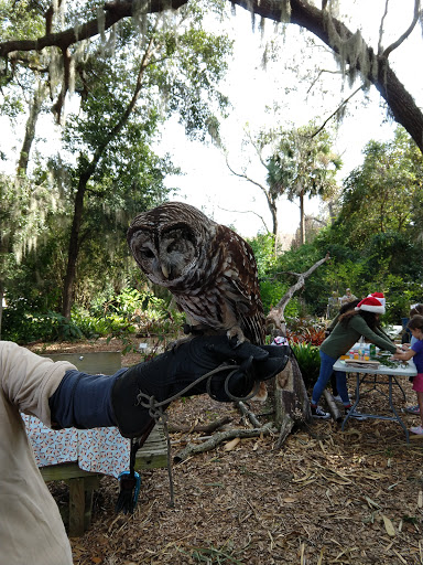 Image of Nehrling Gardens