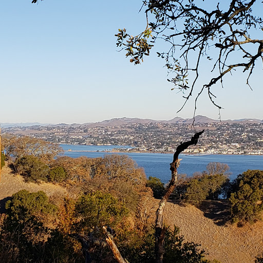 Image of Nejedly Staging Area