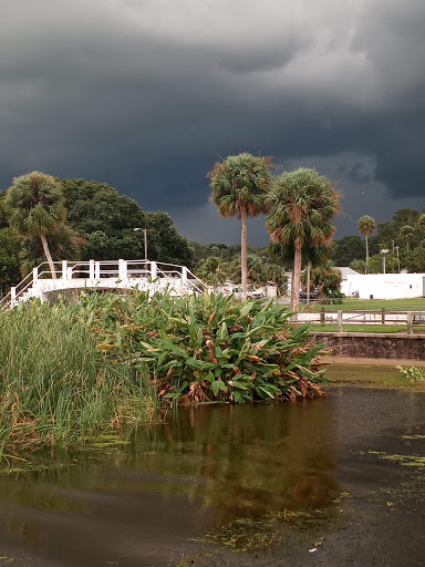 Image of Newton Park